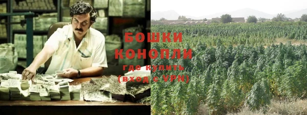 PSILOCYBIN Богданович